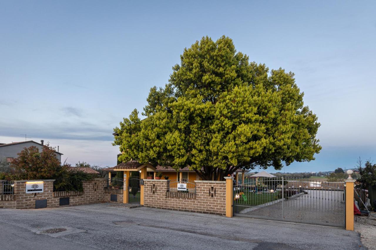 B&B La Canfora Atri Dış mekan fotoğraf